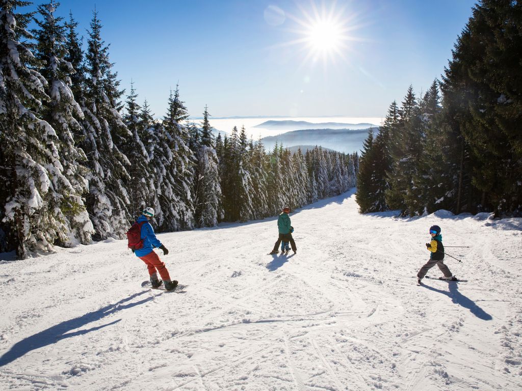 Ferienwohnung Sohnrey für 4 Gäste, Titisee-Neustadt