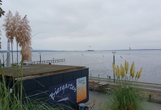 Bild 19