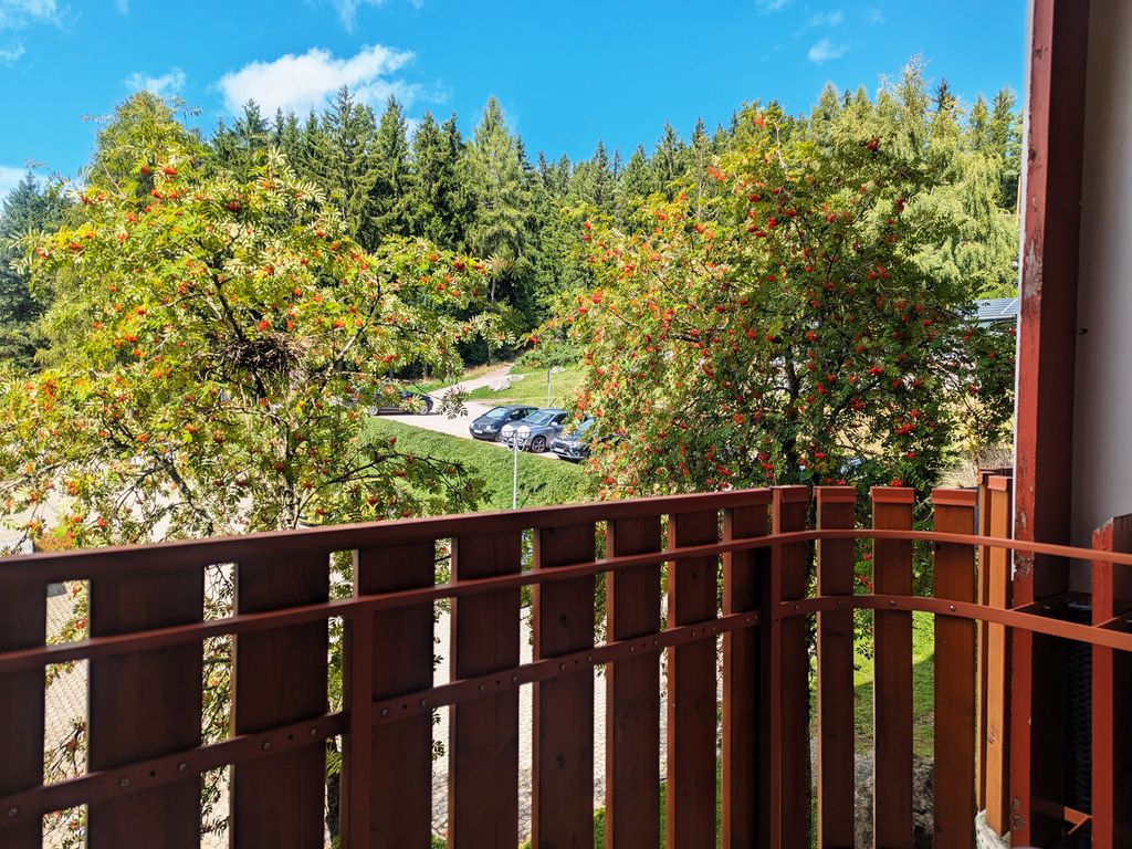 Kurhotel Schluchsee App. 23020 "Riesenbühlsonne"- mit Indoorpool- Schluchsee