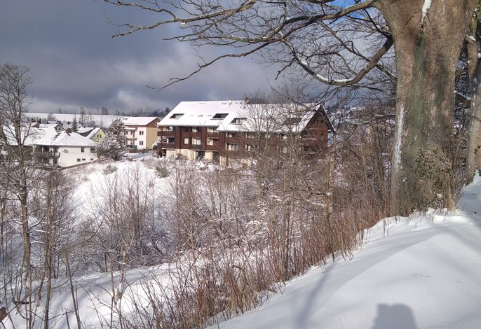Bild 12