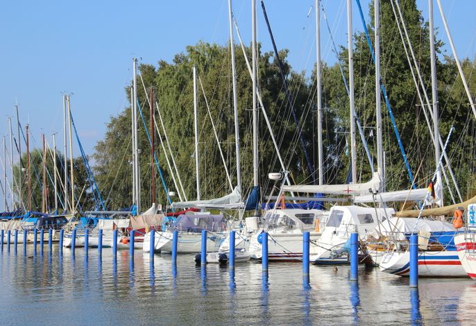 Bild 19