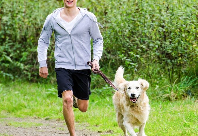 Bild 23