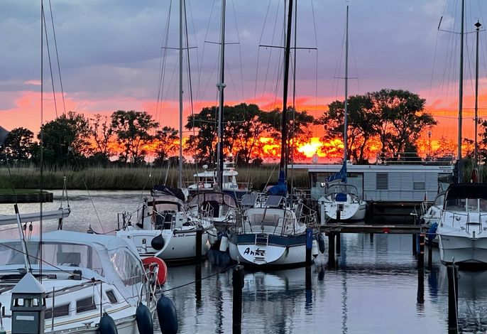Bild 12