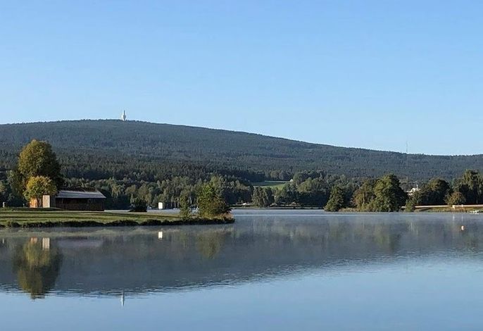 Bild 19