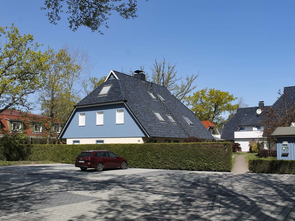 Buchentraum 1/4