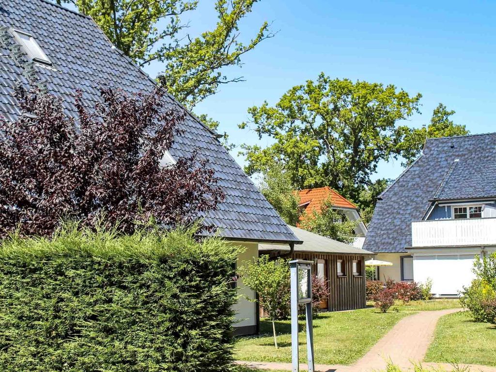 Buchentraum 1/4