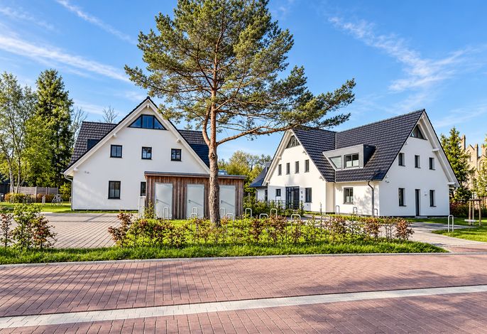 Photo Düne 7 Dünentraum 2