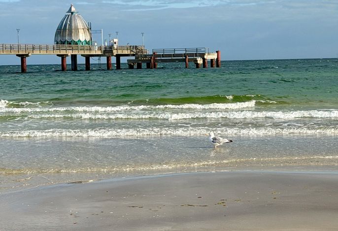 Bild 13