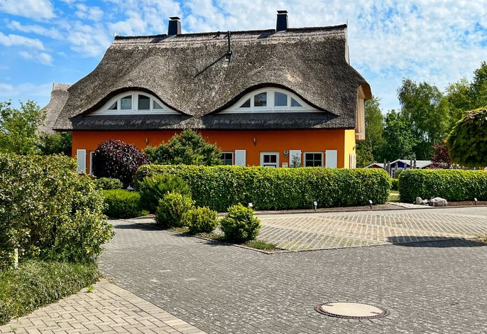Bild 15