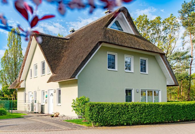 Photo Ferienhaus Seegras 1