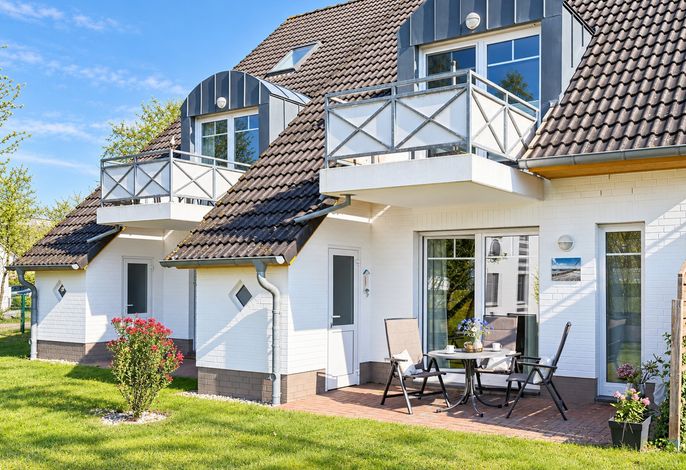 Photo Silbermöwe 3