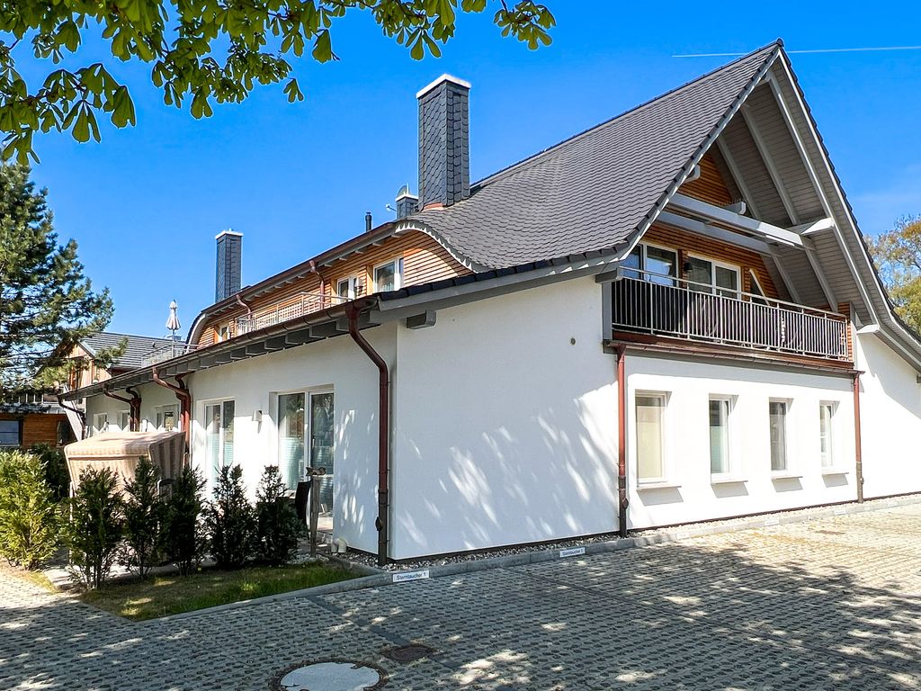 Sterntaucher 06