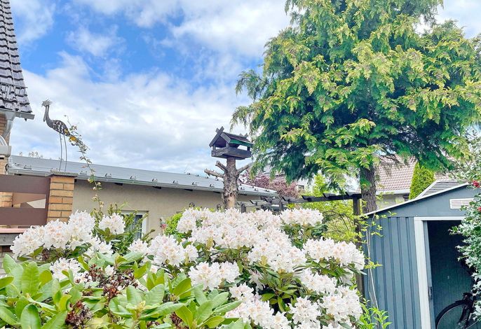 Gartenblick