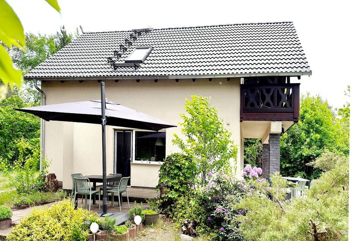 Kiefernwäldchen