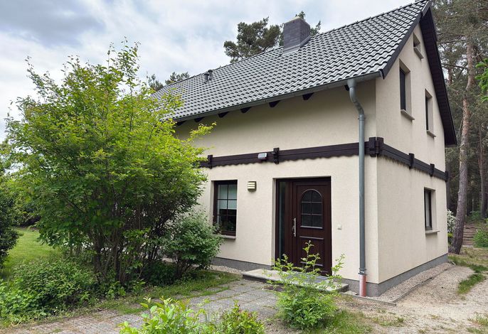 Kiefernwäldchen