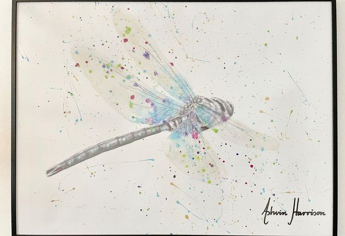 Libelle