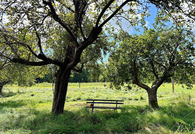 Nature Moosbett