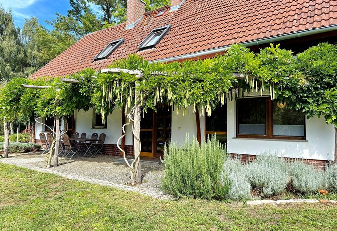 Bild Nature Moosbett