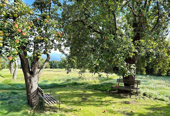Nature Moosbett