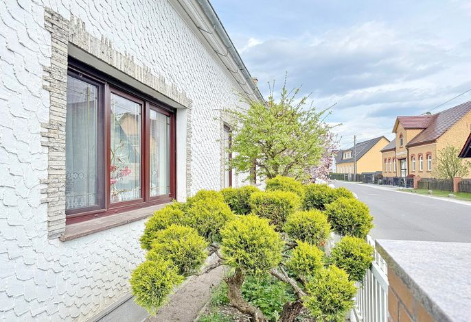 Bild 18