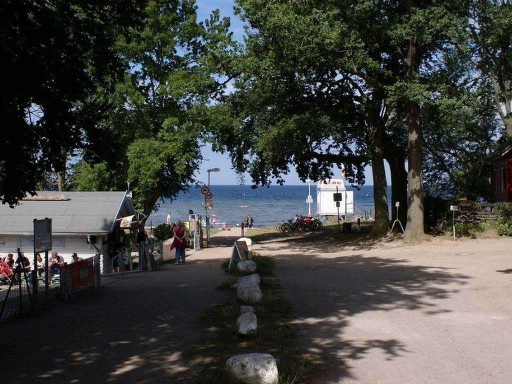 Möwe am Strand - ABC58