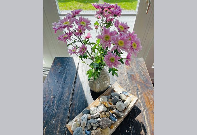 Bild 19