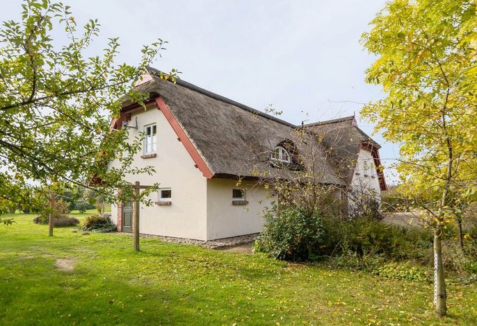 Bild 14