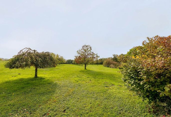 Bild 13