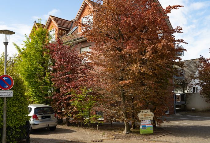 Bild 13