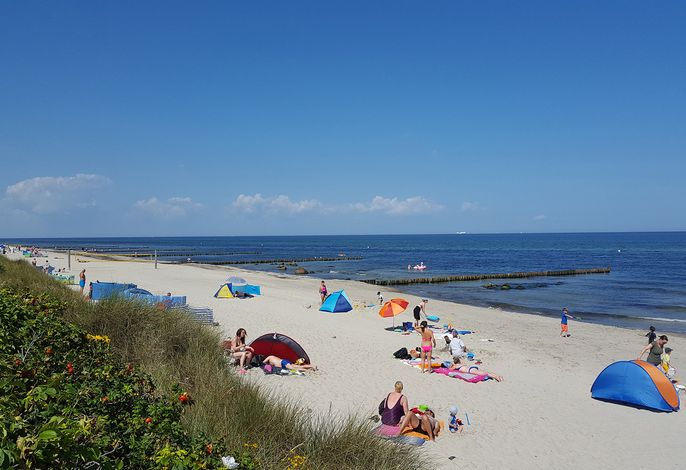 Bild 16
