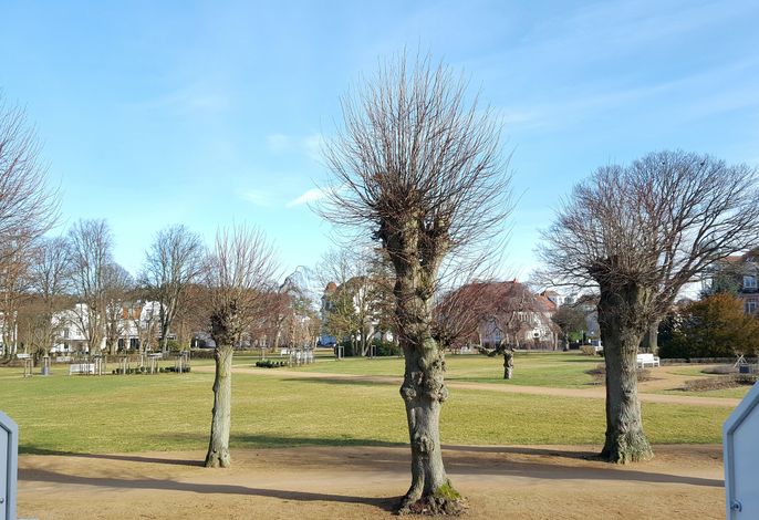 Bild 11