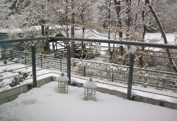 Bild 19