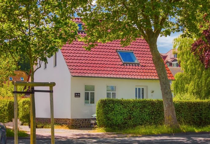 Haus Lizard – Foto 1