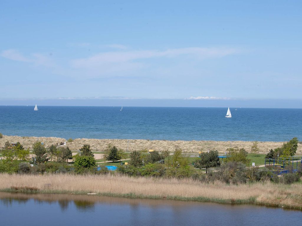 Koje 29