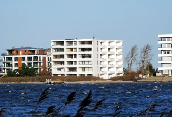 Photo Seeschwalbe - Stw 9-1-15 2