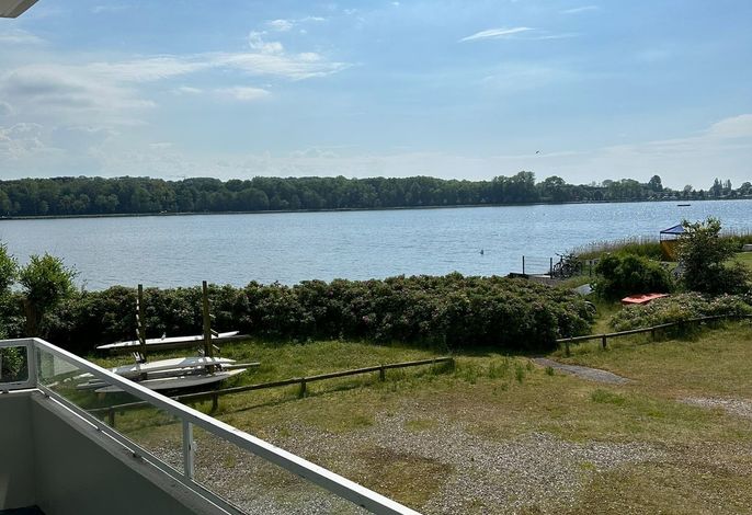 Photo Seeschwalbe - Stw 9-1-15 3