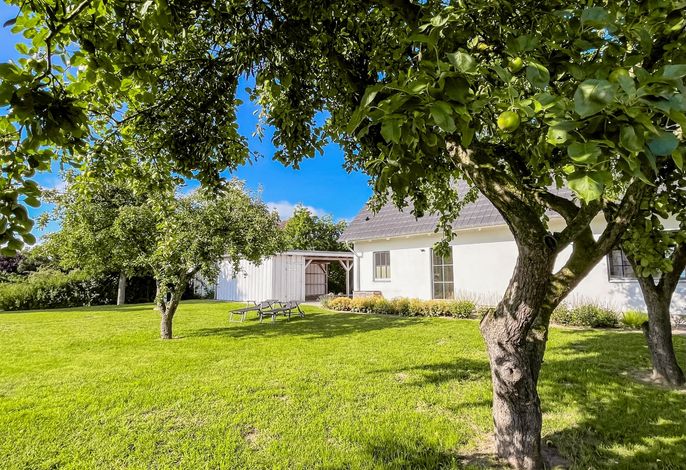 Ferienhaus Libelle - Feriendomizil für 14 Pers. - Haupt- und Nebenhaus – Foto 1