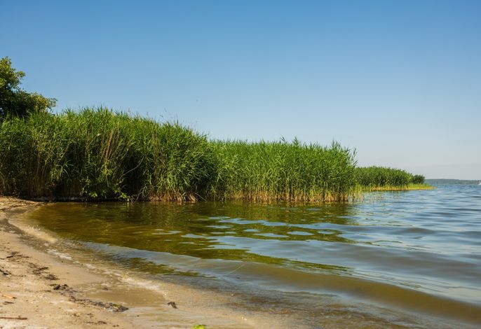 Bild 22