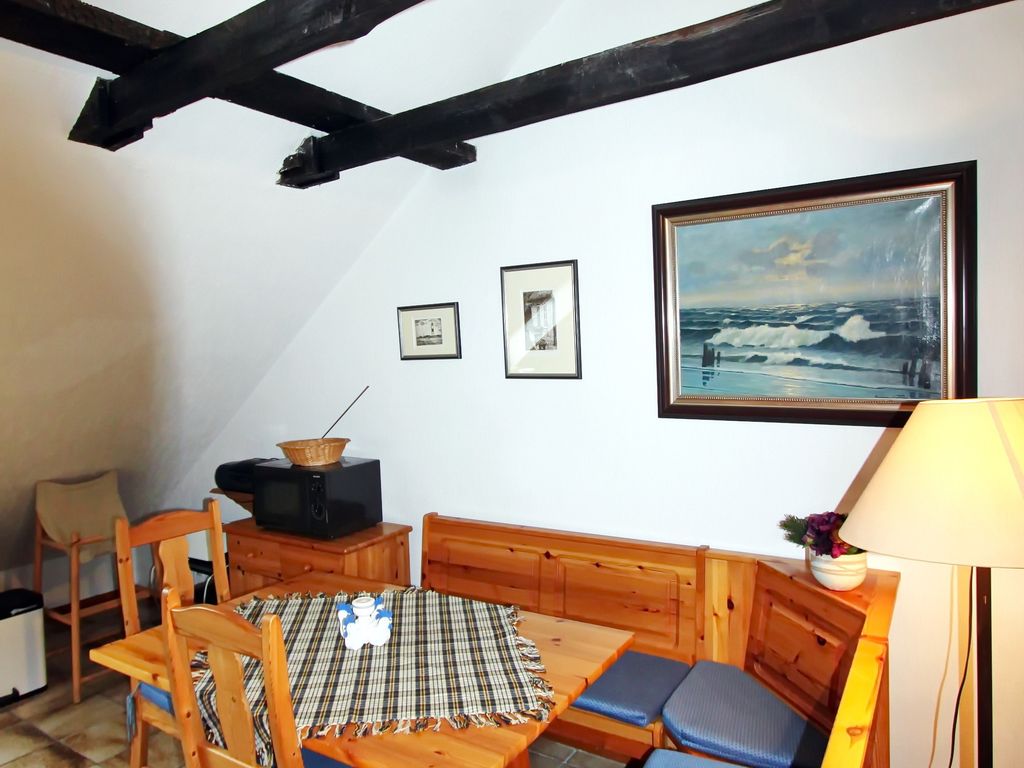 Lachmöwe