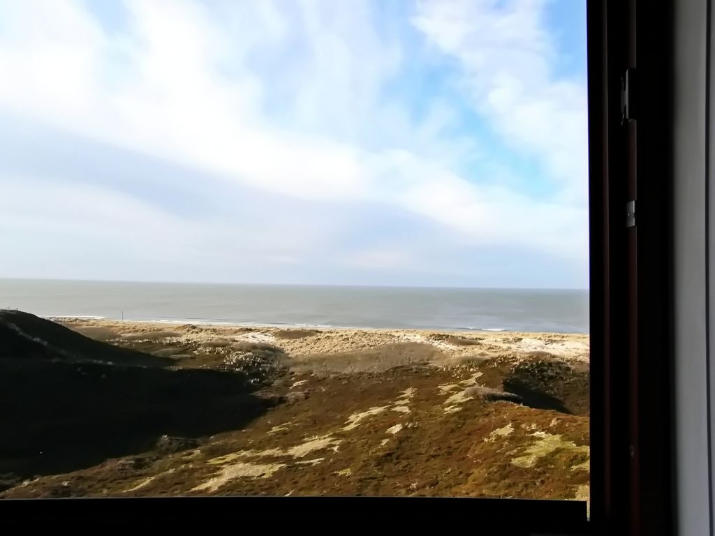 Strandhafer