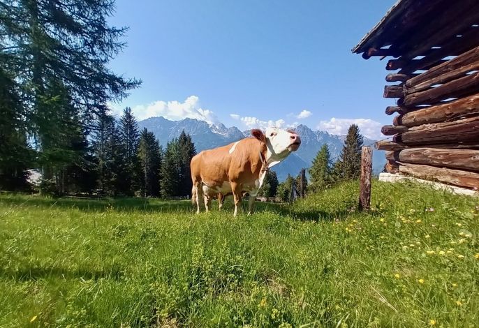 Bild 28