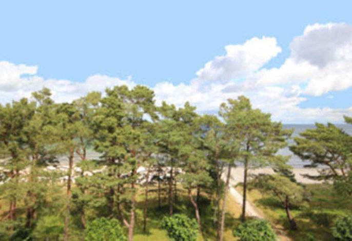 Villa Strandidyll, Whg. 14 – Foto 1