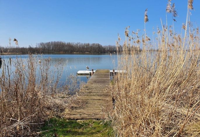 Bild 14