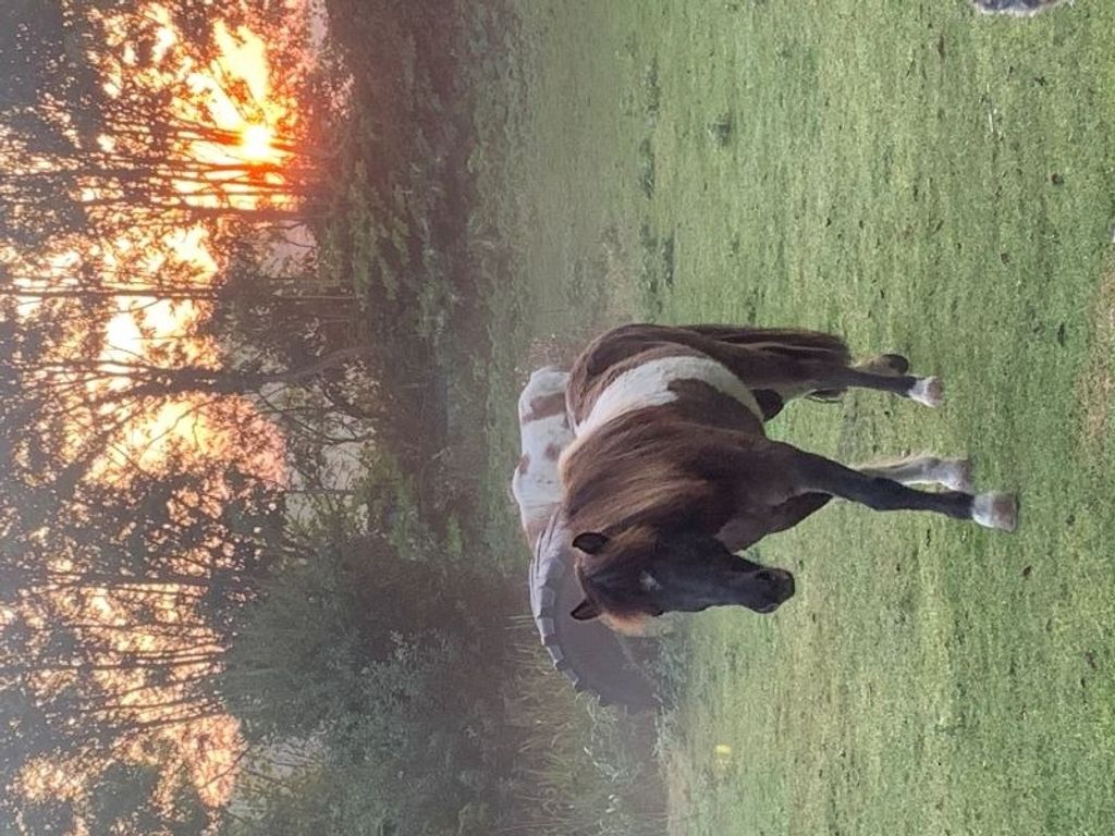 501 Meerzeit