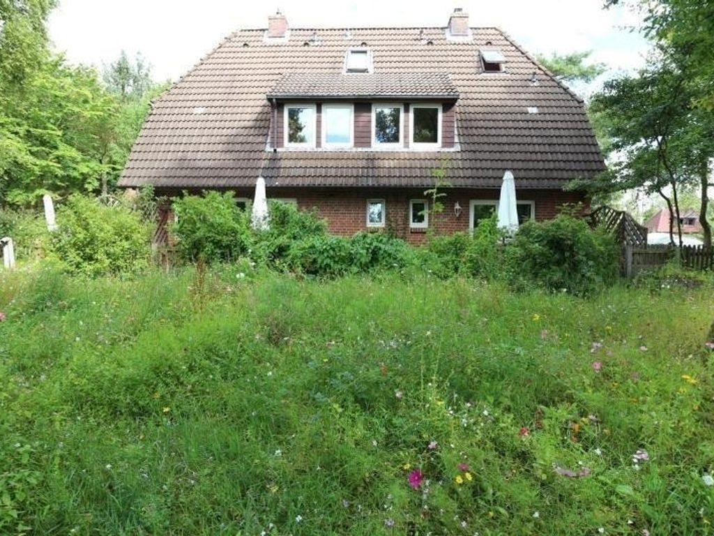 Silbermöwen