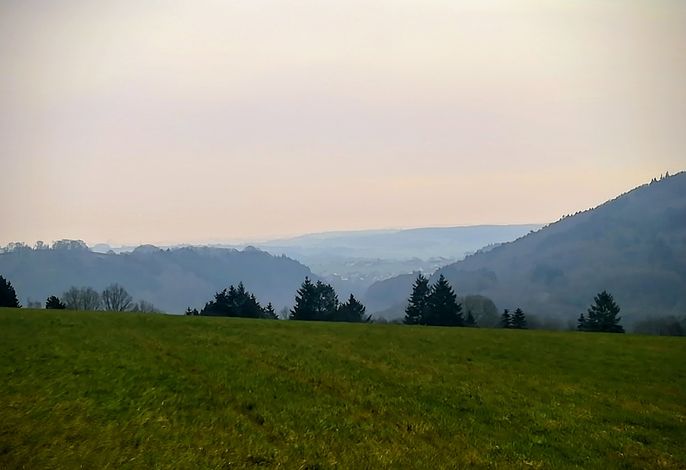 Bild 42