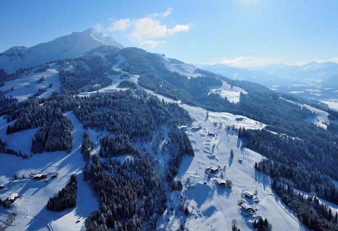 Bild 15