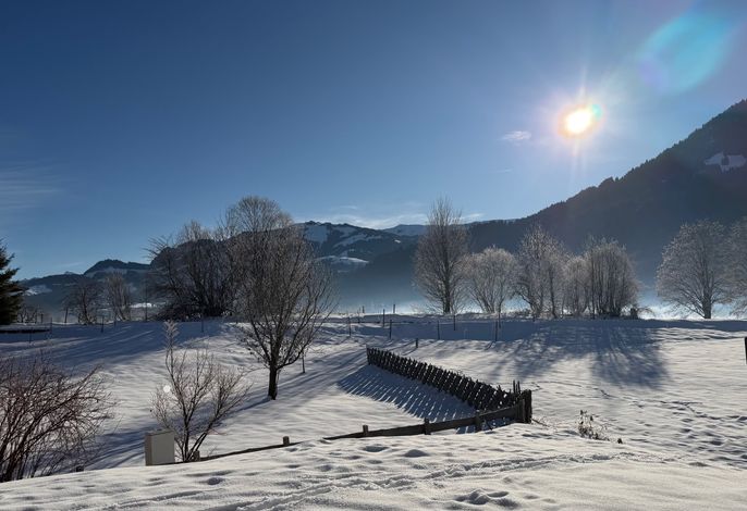 Bild 22