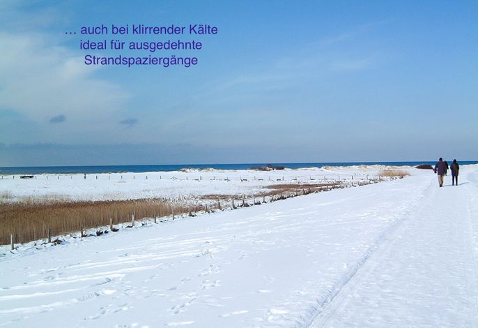 Bild 29