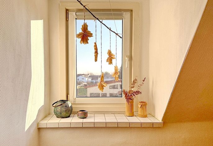 Bild 31